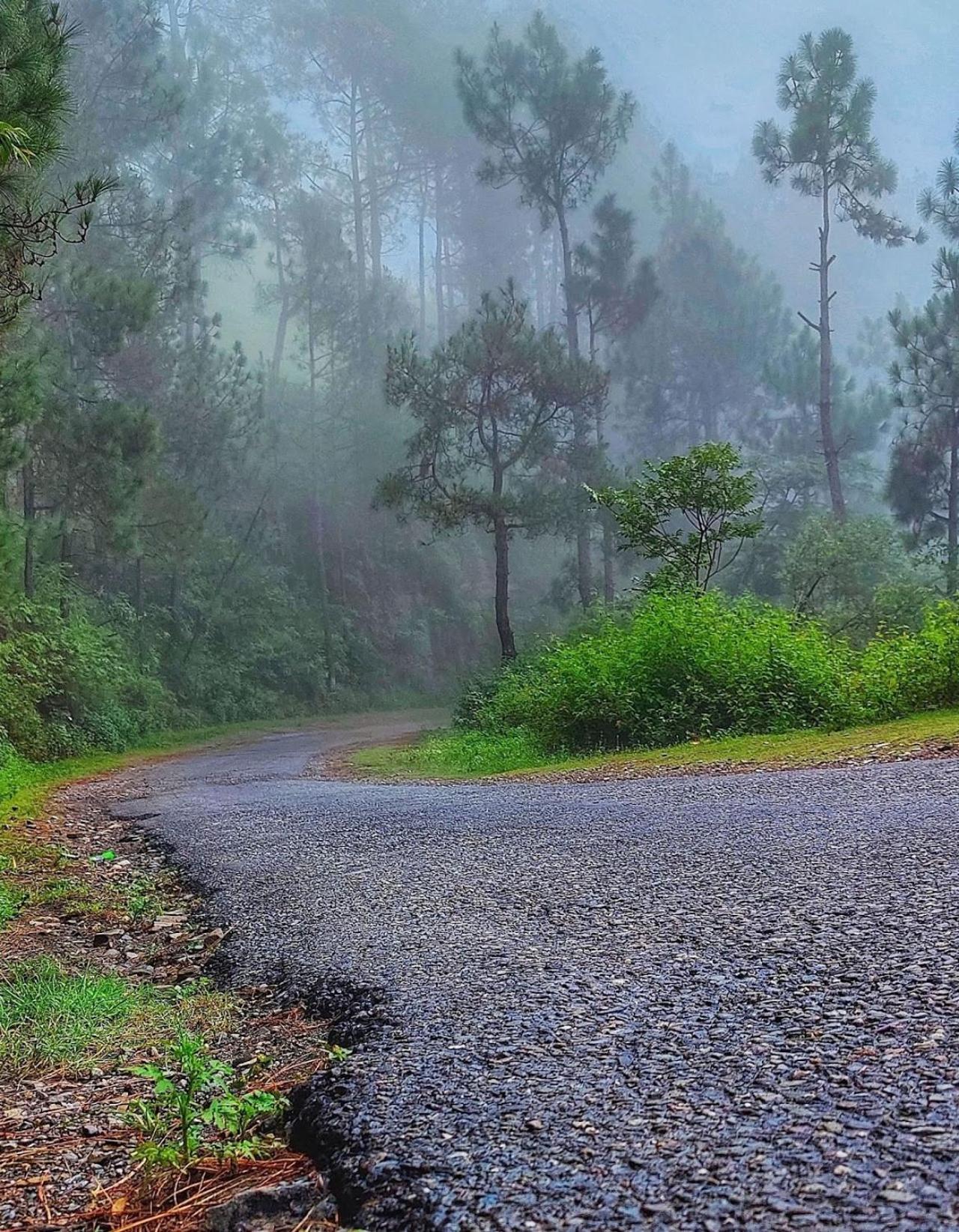 Kabana De Nature Rājgarh Exteriör bild